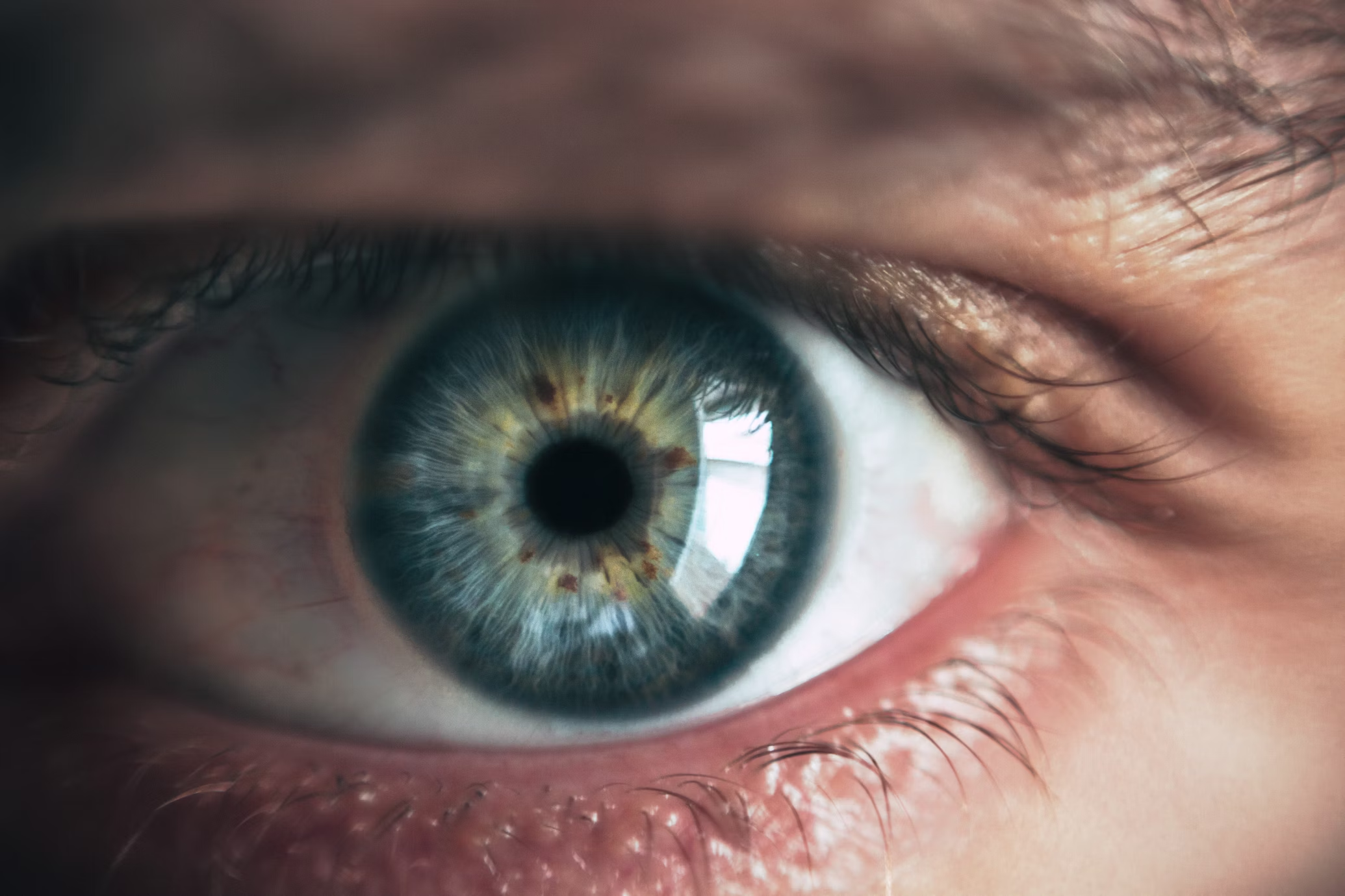 Eye Doctor Macular Degeneration: Causes, Symptoms, and Treatment Options